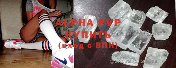 эйфоретик Вяземский