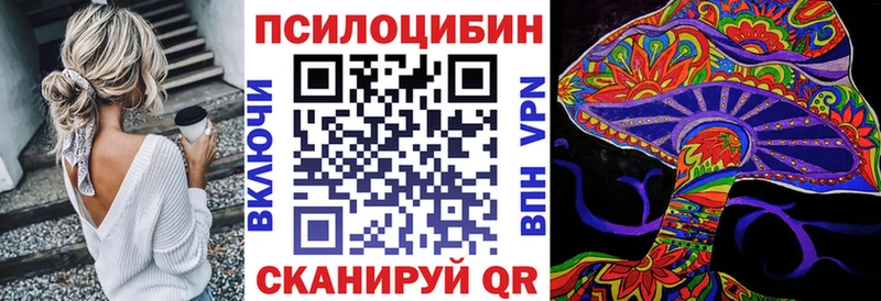 Псилоцибиновые грибы Cubensis  где продают наркотики  Шебекино 