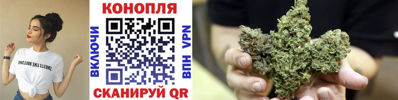 продажа наркотиков  Шебекино  Бошки Шишки марихуана 
